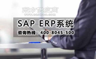 從SAP軟件代理商到SAP ERP軟件開發(fā)公司 達(dá)策軟件的轉(zhuǎn)型與選擇